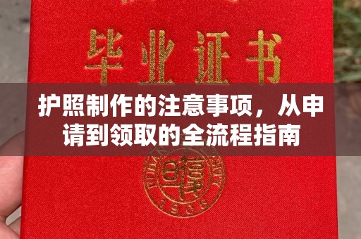 姜堰护照制作的注意事项，从申请到领取的全流程指南